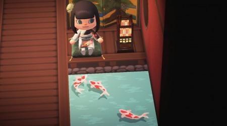 Bassin pour carpes koï