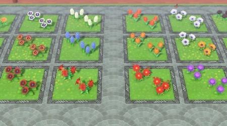 Contour chemin design