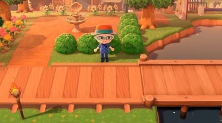 Chemin ponton en bois