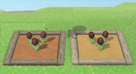 Parterre pour fleurs