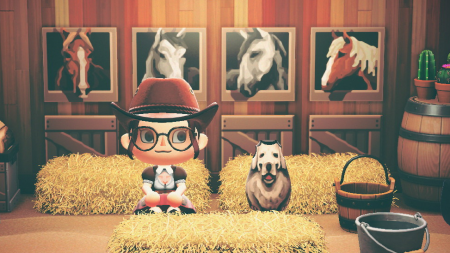 Chevaux, chien, écurie