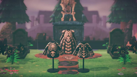 Collection habits squelette