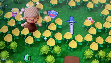 Zelda : divers motifs