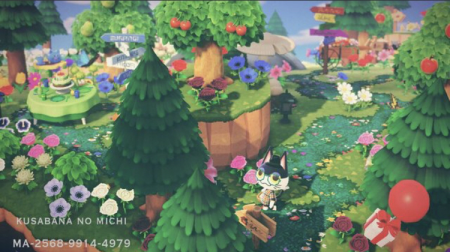 Chemin herbe foncée