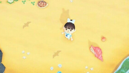 Ombre oiseaux mouettes