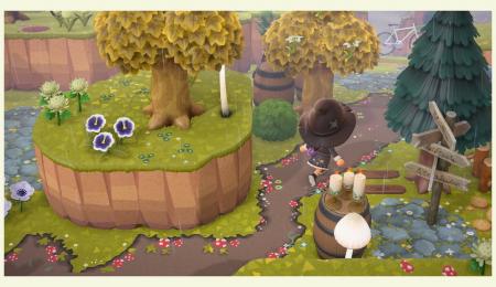 Chemin incrusté champignons