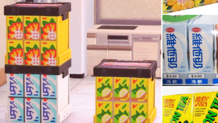 Briques jus de fruit