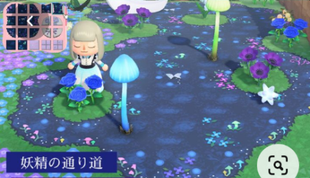 Forêt enchantée champignons bioluminescents