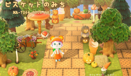 Chemin biscuits (4 coloris)