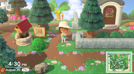 Chemin terre et fleurs