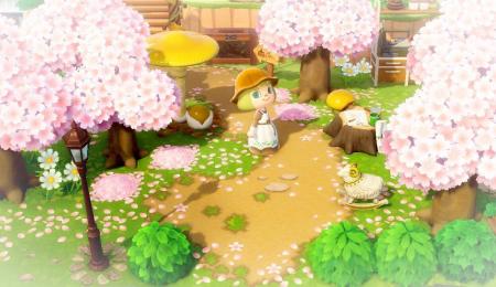 Chemin fleurs sakura